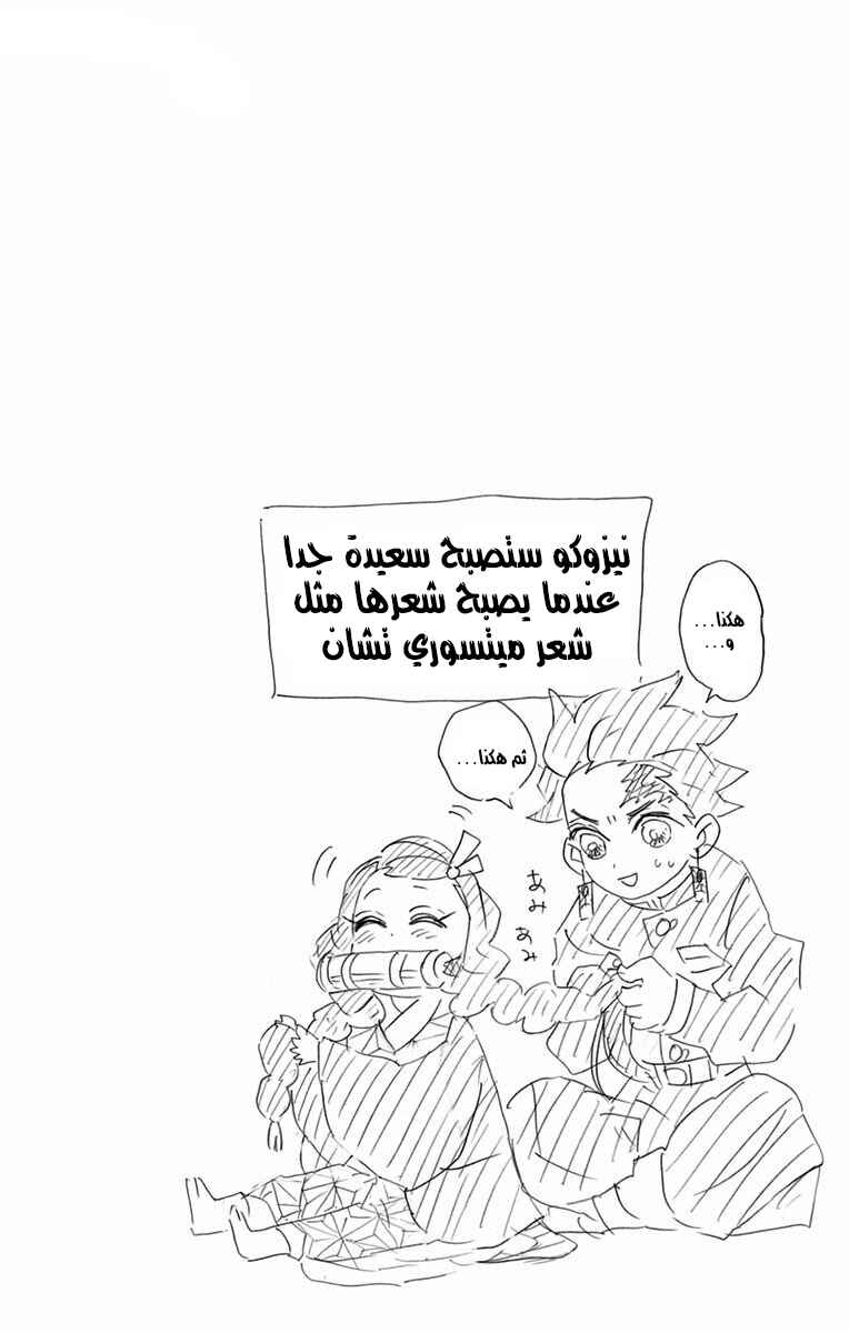 Demon Slayer: Kimetsu no Yaiba Chapter 106.5 - Page 14