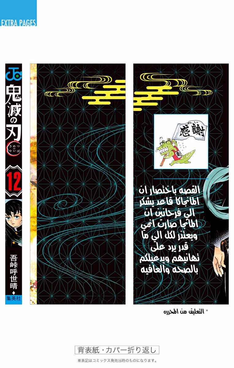 Demon Slayer: Kimetsu no Yaiba Chapter 106.5 - Page 17