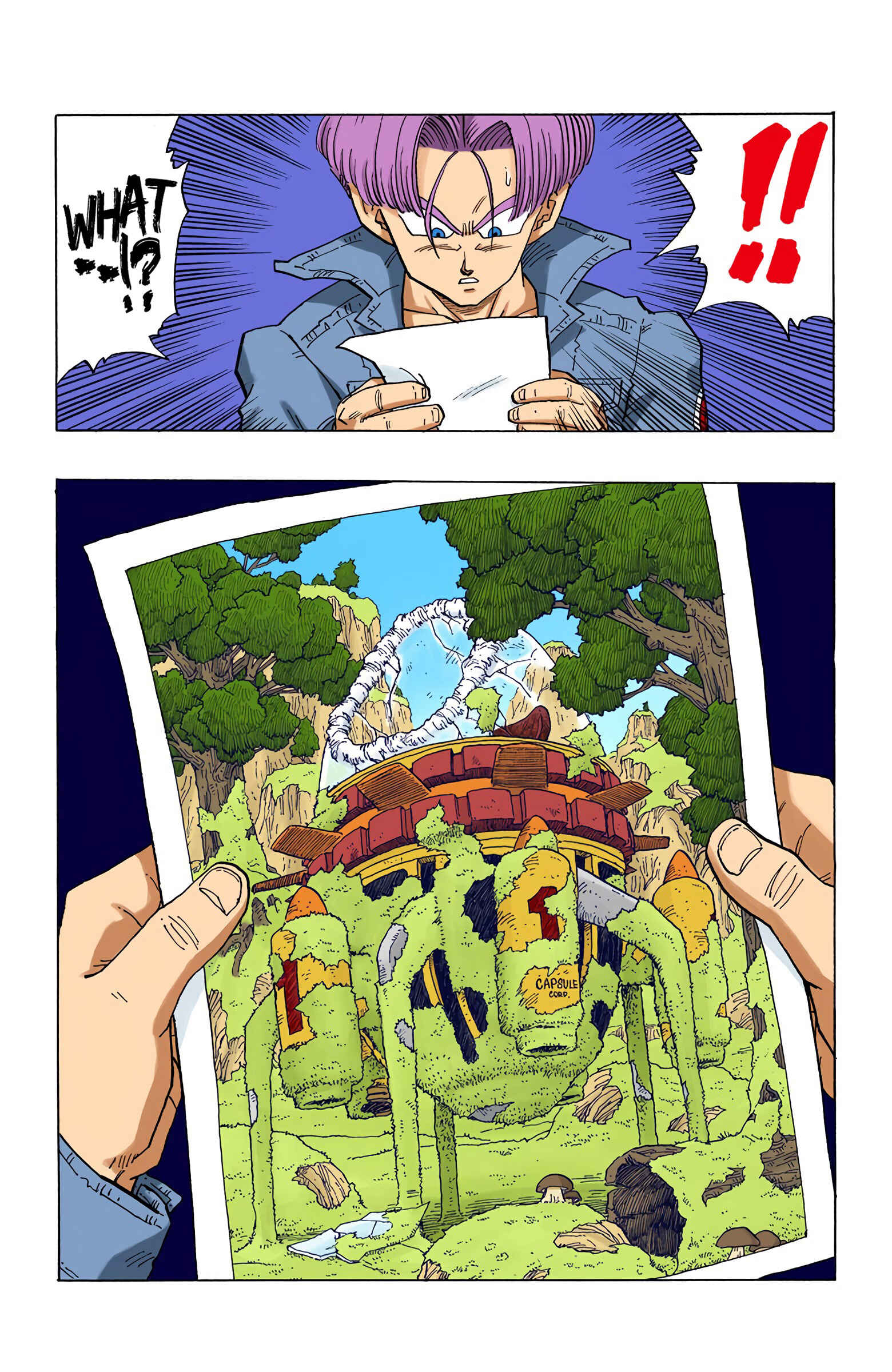 Dragon Ball (Official Colored) Chapter 357 - Page 15