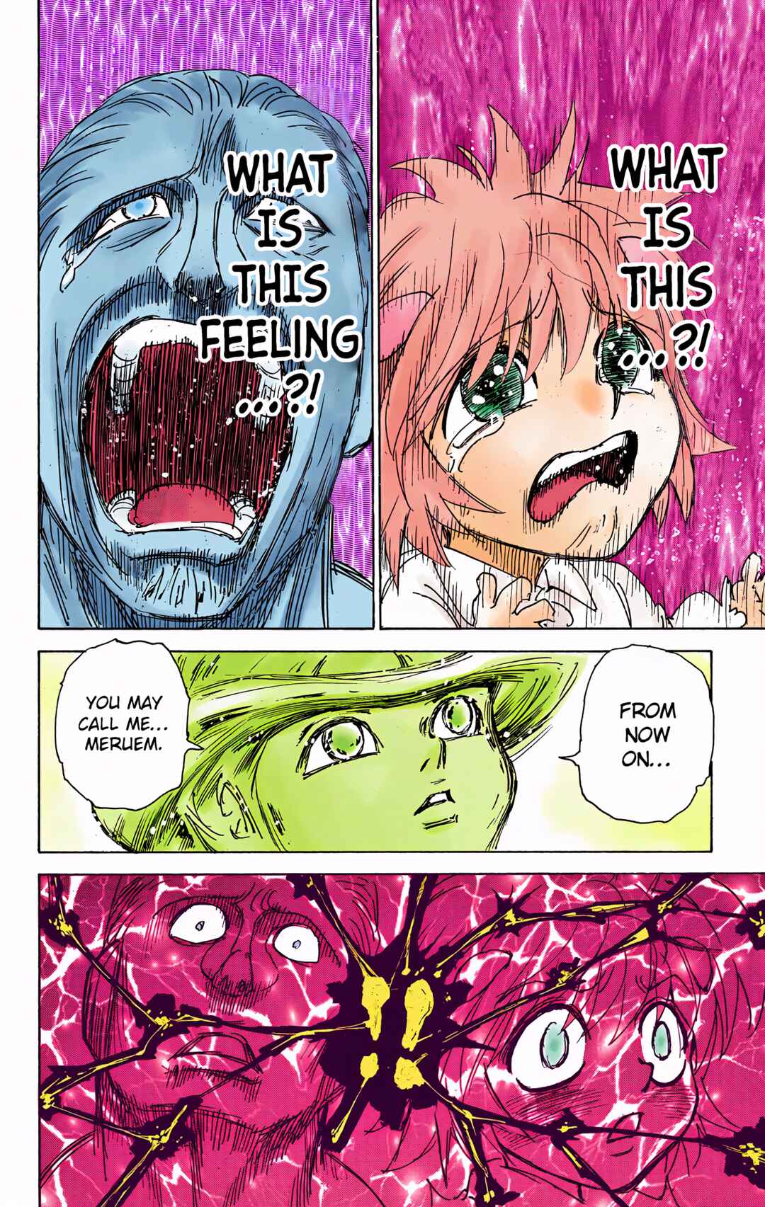 Hunter x Hunter (Official Colored) Chapter 299 - Page 14