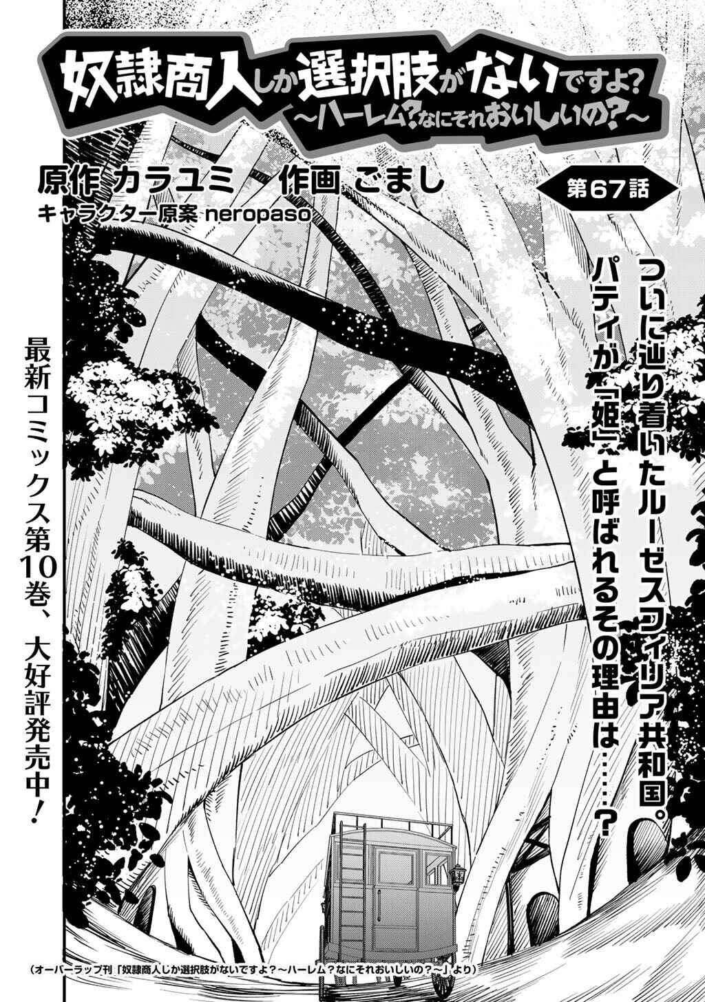 Dorei Shounin shika Sentakushi ga Nai desu yo? ~Harem? Nani Sore Oishii no?~ Chapter 67 - Page 3