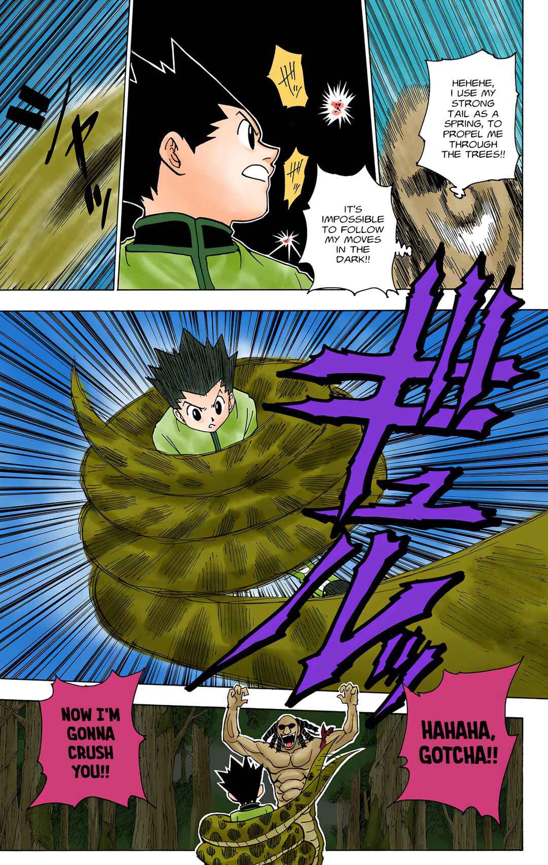 Hunter x Hunter (Official Colored) Chapter 231 - Page 11