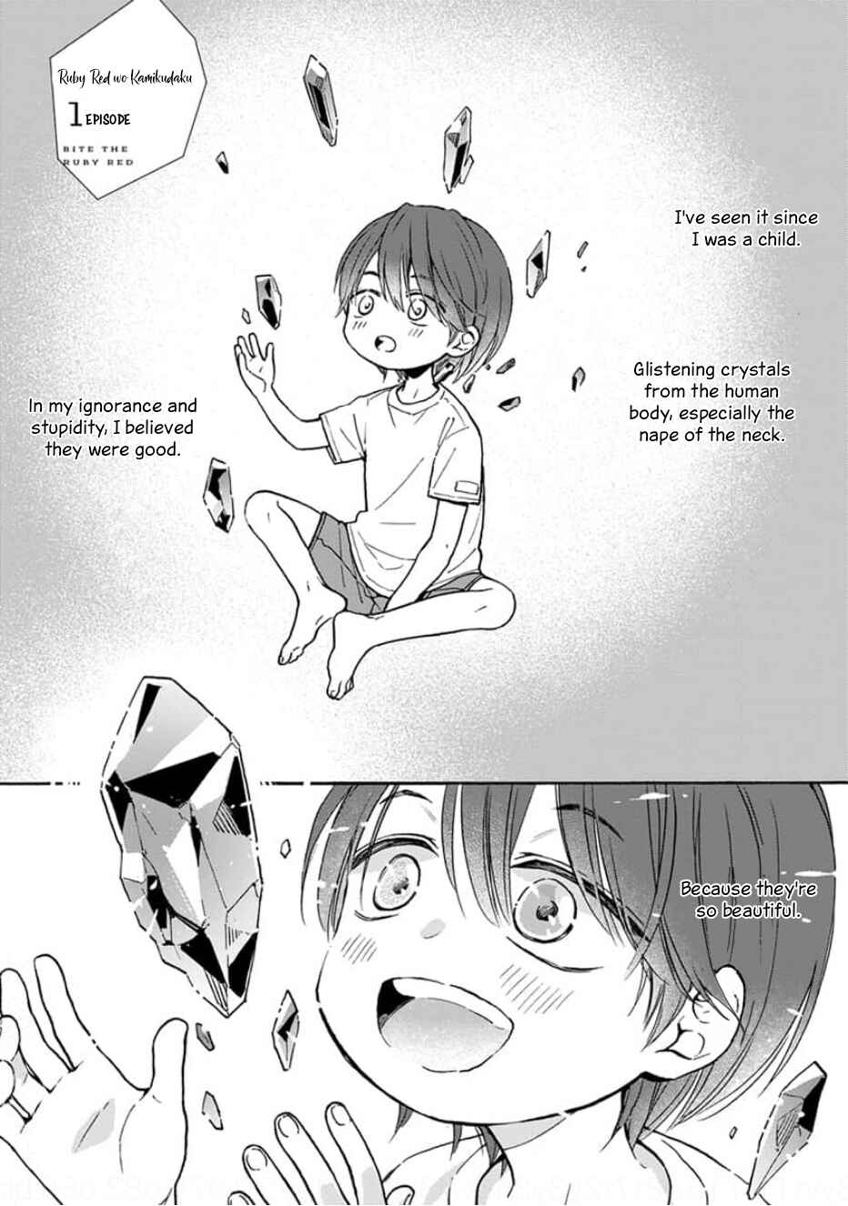 Ruby Red wo Kamikudaku Chapter 1 - Page 9
