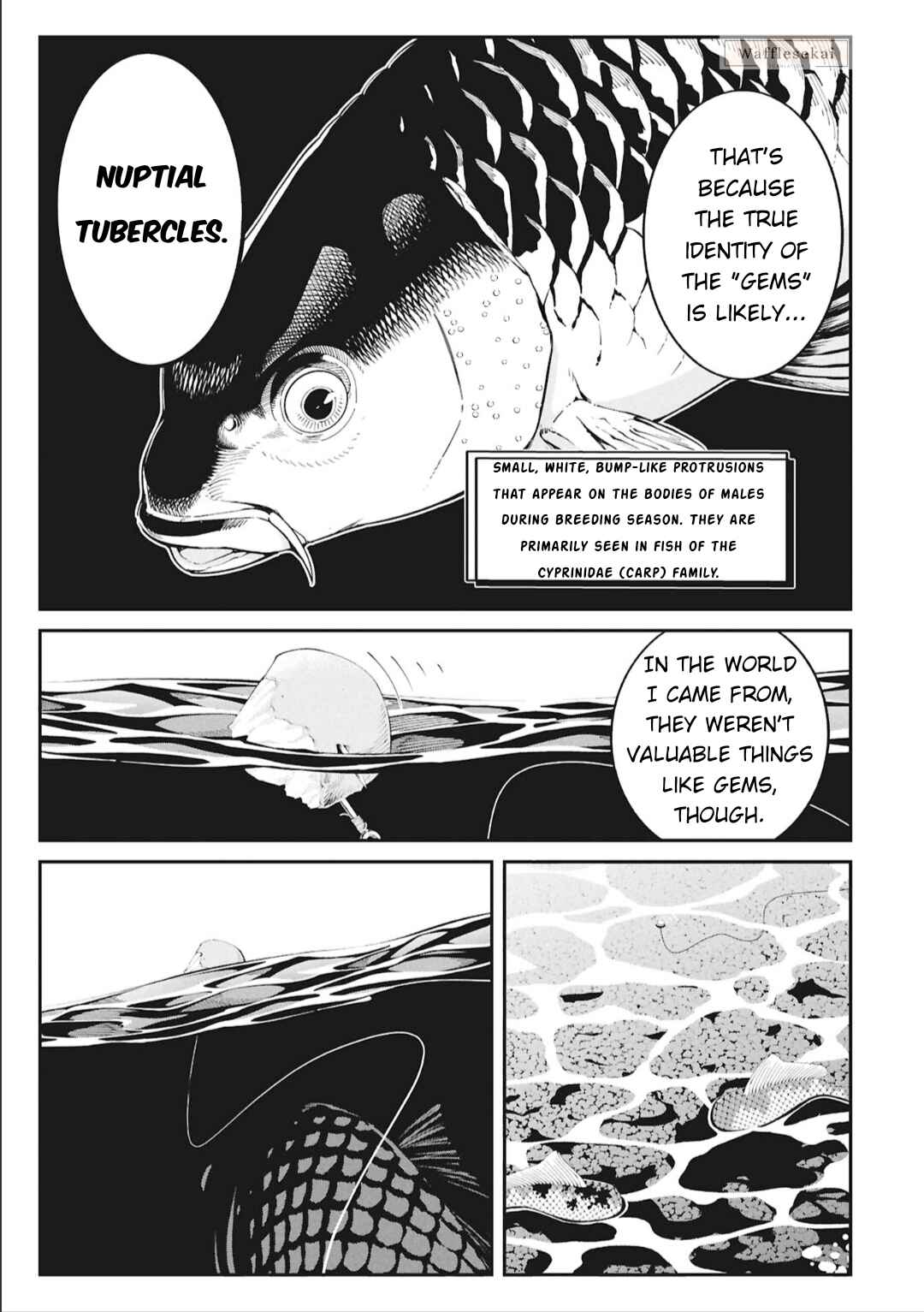 Tsurizao Hitotsu de Isekai Hourou Chapter 5 - Page 12