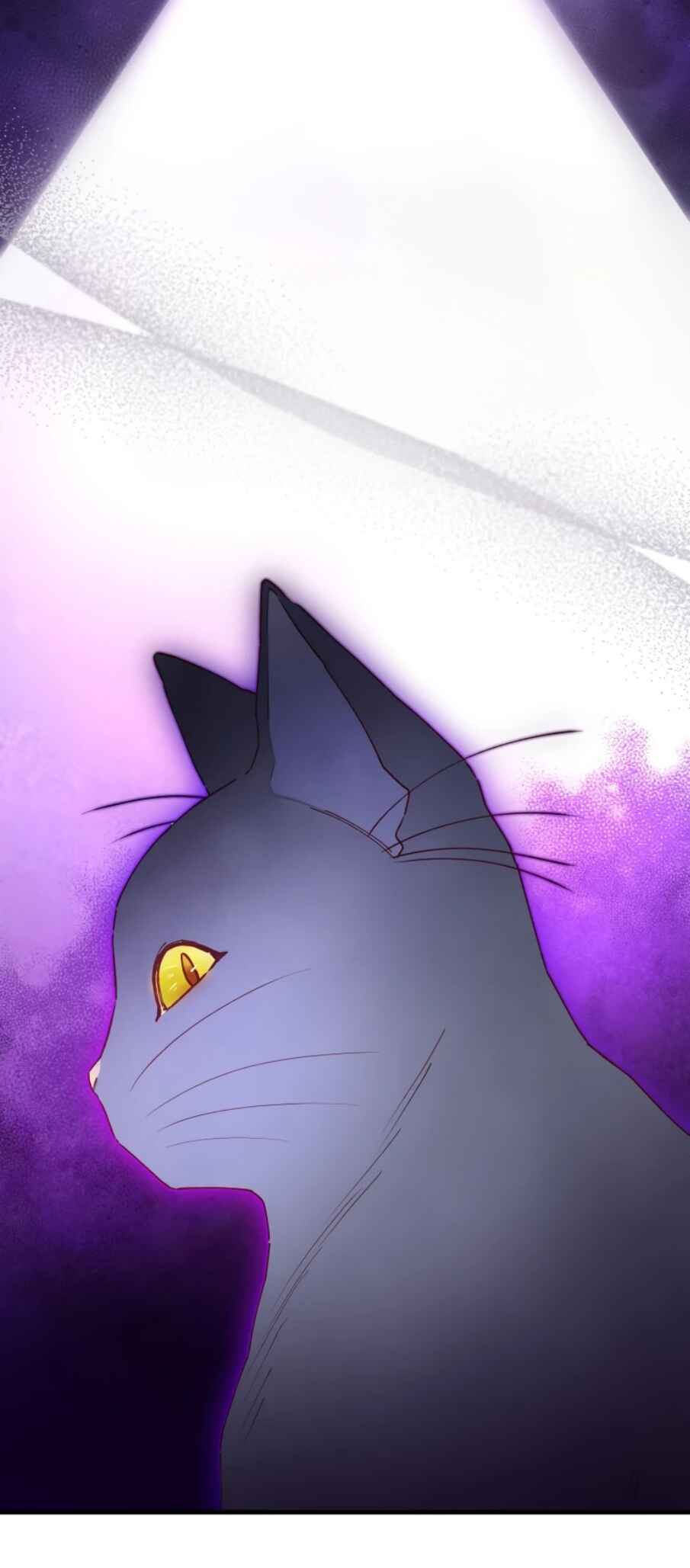 In This Life, I Won’t Live as My Twin Sister’s Shadow Chapter 7 - Page 55