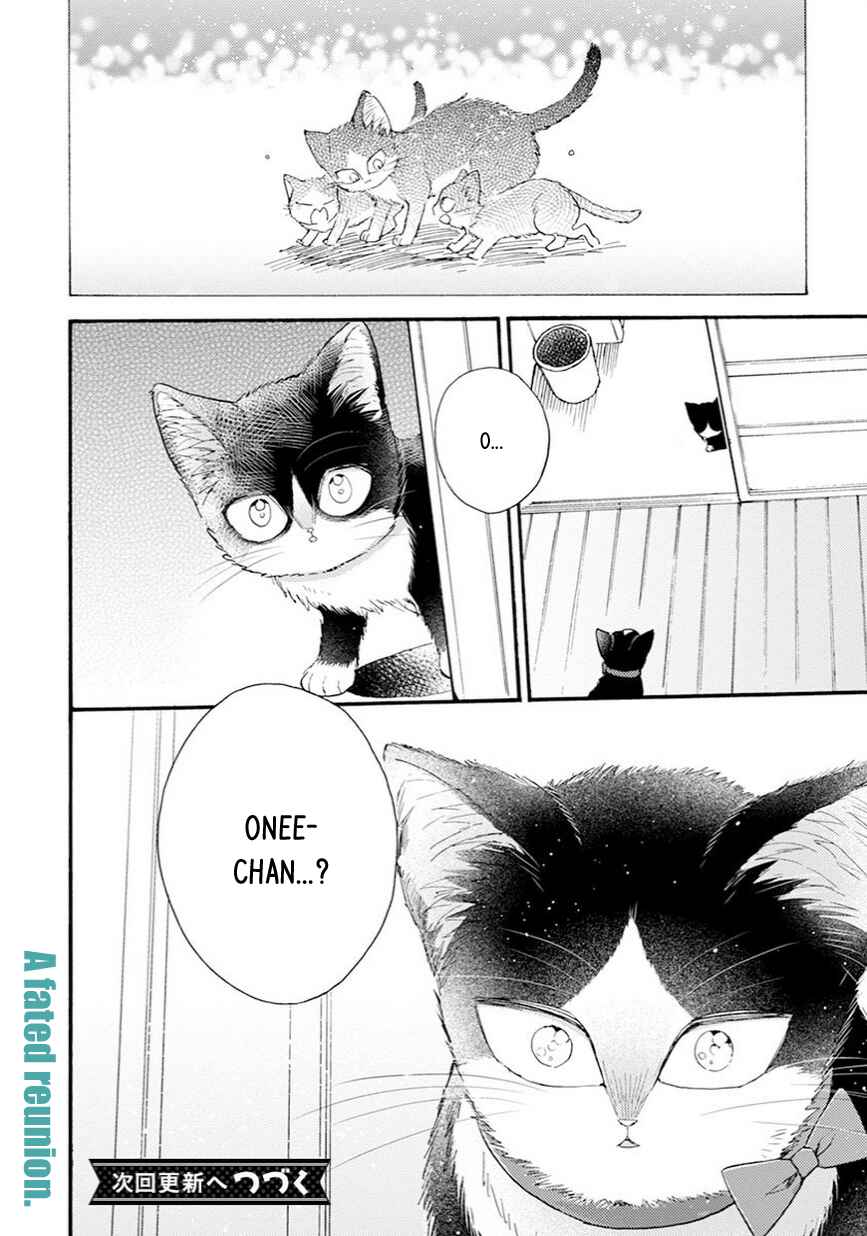 Doukyonin wa Hiza, Tokidoki, Atama no Ue. Chapter 8.5 - Page 18