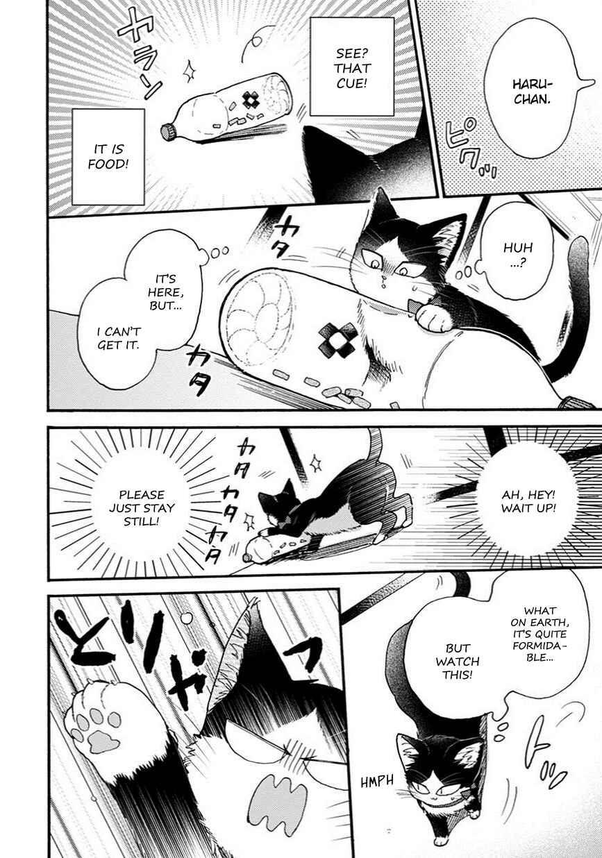 Doukyonin wa Hiza, Tokidoki, Atama no Ue. Chapter 8.5 - Page 5