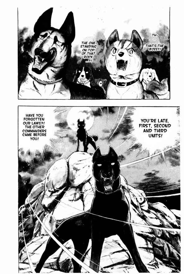 Silver Fang – The Shooting Star Gin – Chapter 11 - Page 6