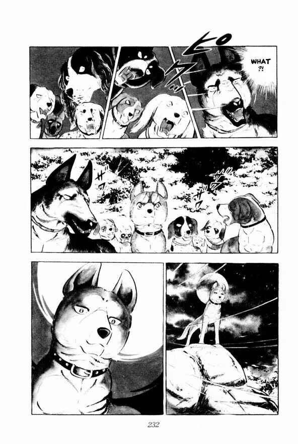 Silver Fang – The Shooting Star Gin – Chapter 11 - Page 9