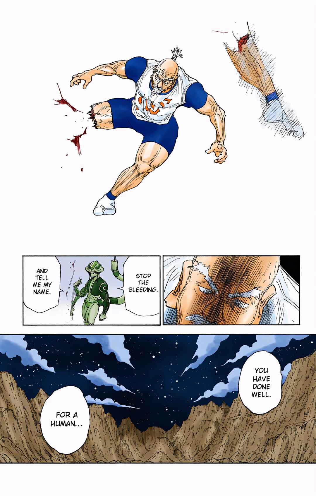 Hunter x Hunter (Official Colored) Chapter 296 - Page 19