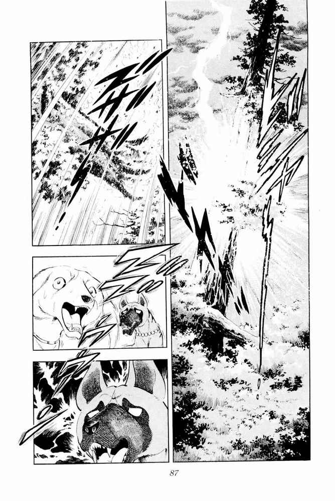 Silver Fang – The Shooting Star Gin – Chapter 43 - Page 17
