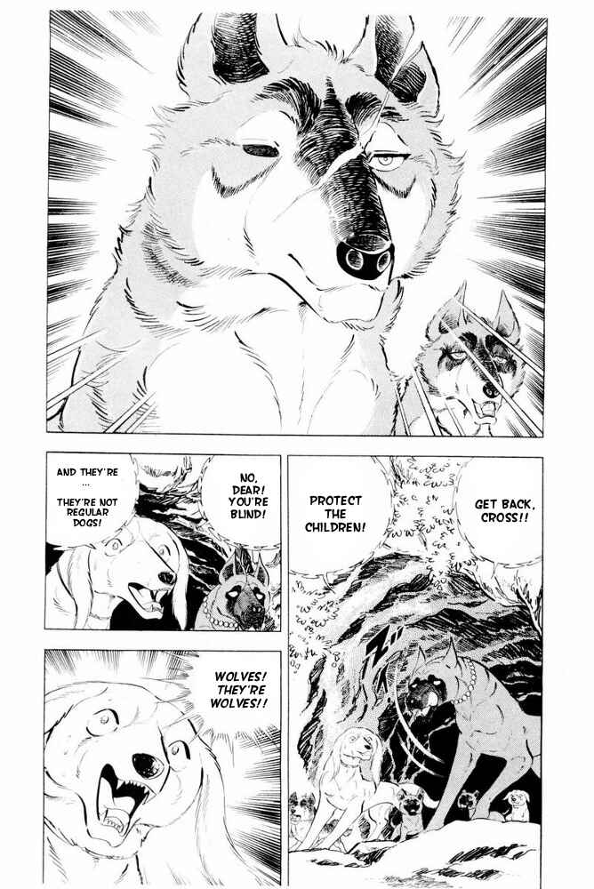 Silver Fang – The Shooting Star Gin – Chapter 43 - Page 19