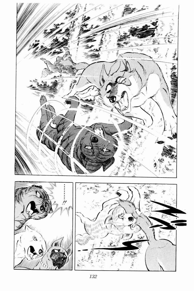 Silver Fang – The Shooting Star Gin – Chapter 44 - Page 20