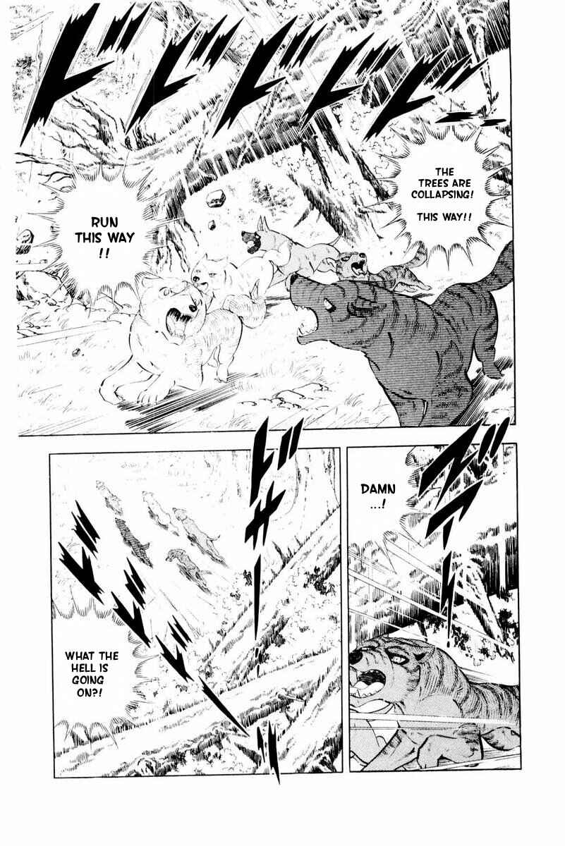 Silver Fang – The Shooting Star Gin – Chapter 44 - Page 31