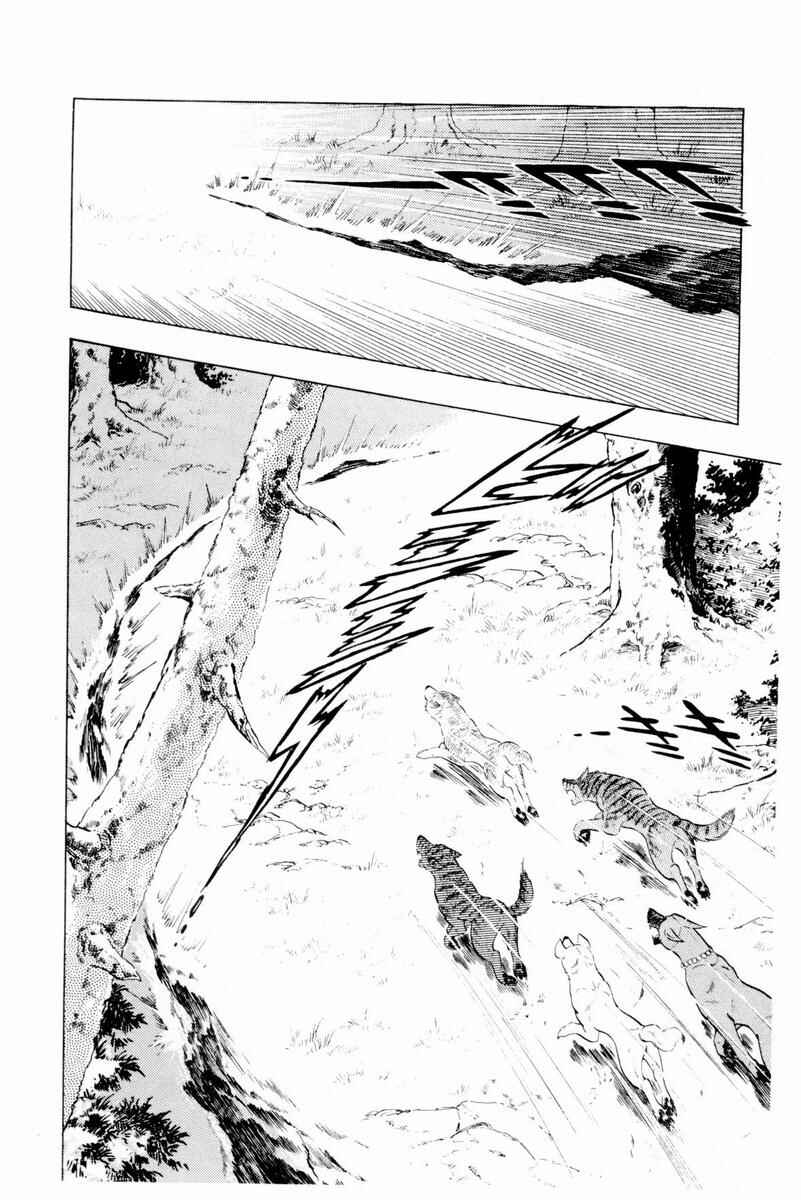 Silver Fang – The Shooting Star Gin – Chapter 44 - Page 32
