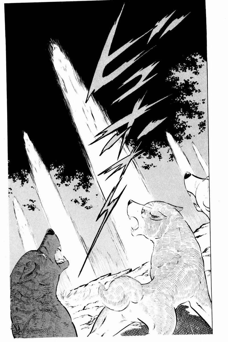 Silver Fang – The Shooting Star Gin – Chapter 44 - Page 35
