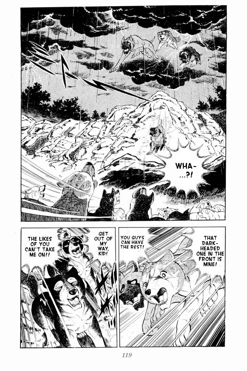 Silver Fang – The Shooting Star Gin – Chapter 33 - Page 14