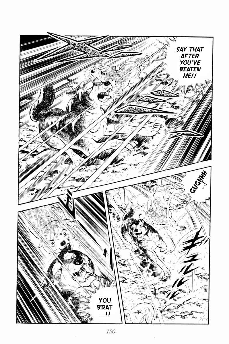 Silver Fang – The Shooting Star Gin – Chapter 33 - Page 15