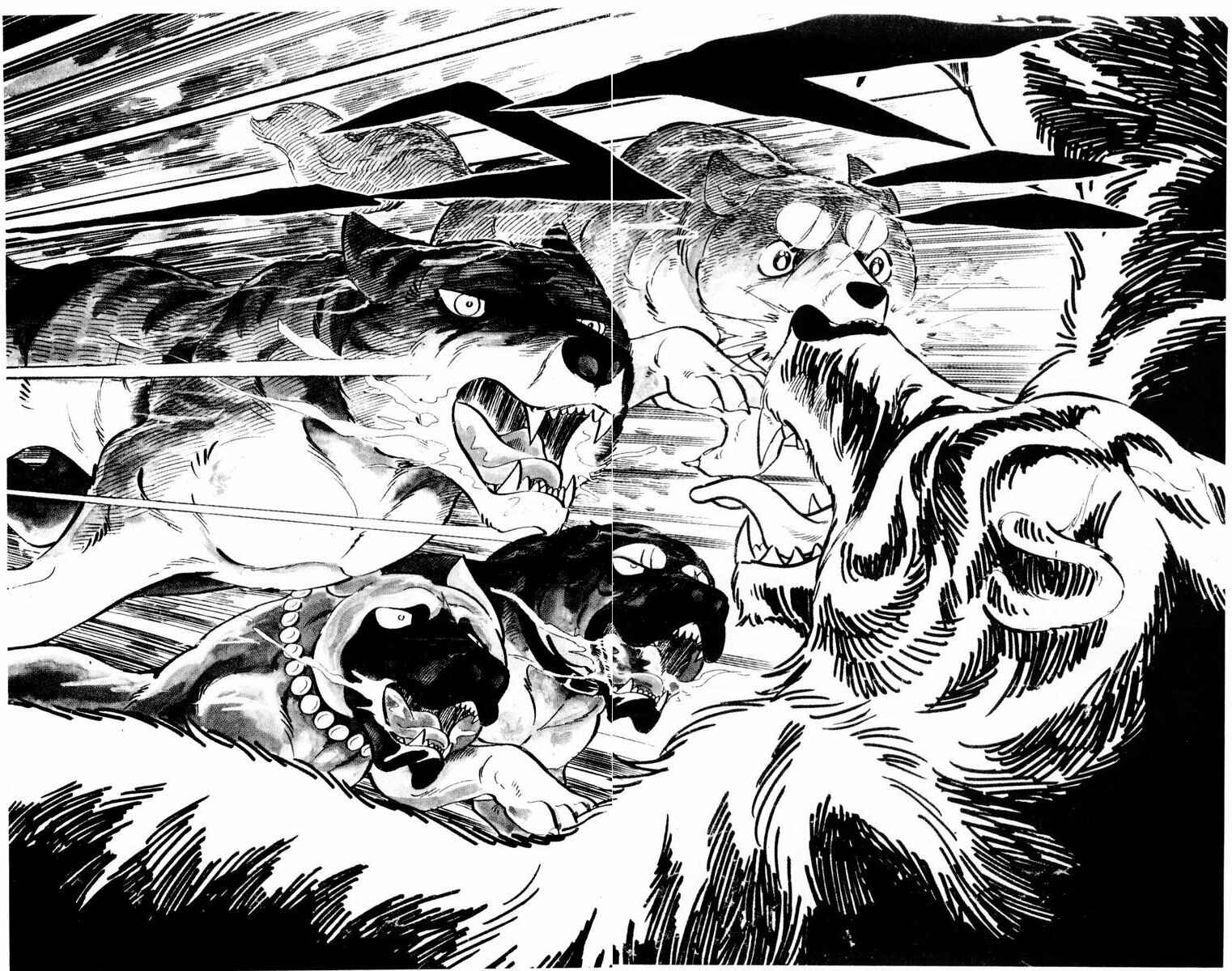 Silver Fang – The Shooting Star Gin – Chapter 33 - Page 36
