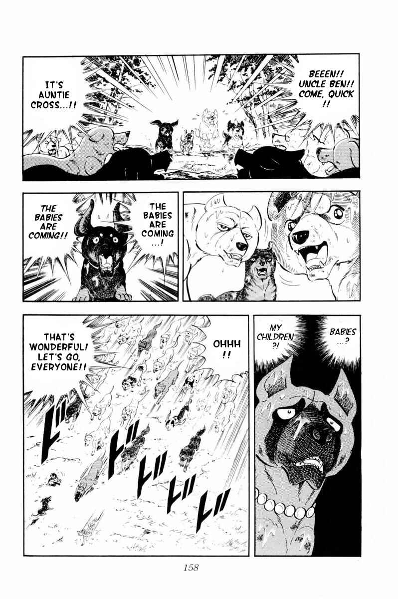 Silver Fang – The Shooting Star Gin – Chapter 33 - Page 51