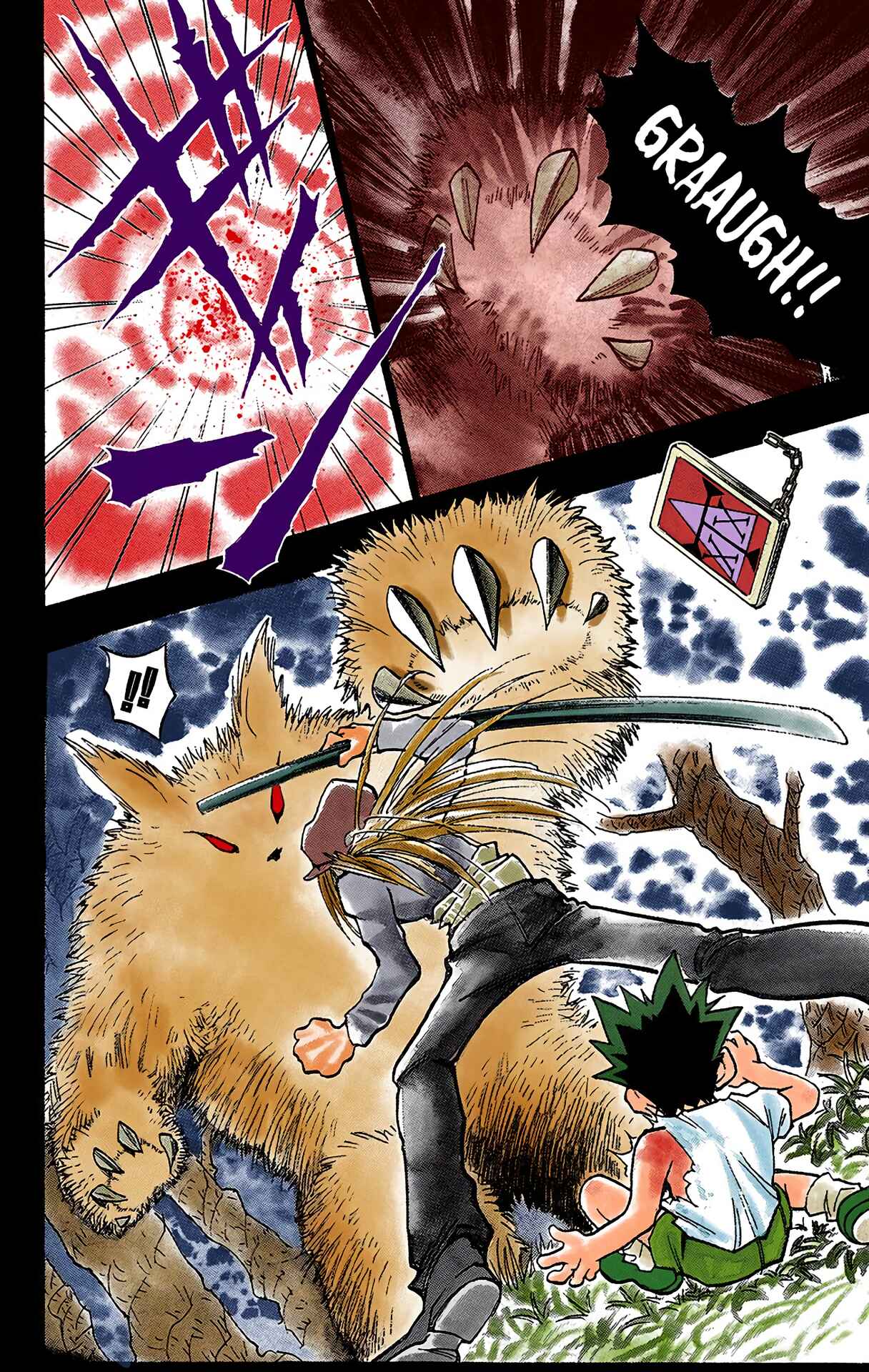 Hunter x Hunter (Official Colored) Chapter 1 - Page 17