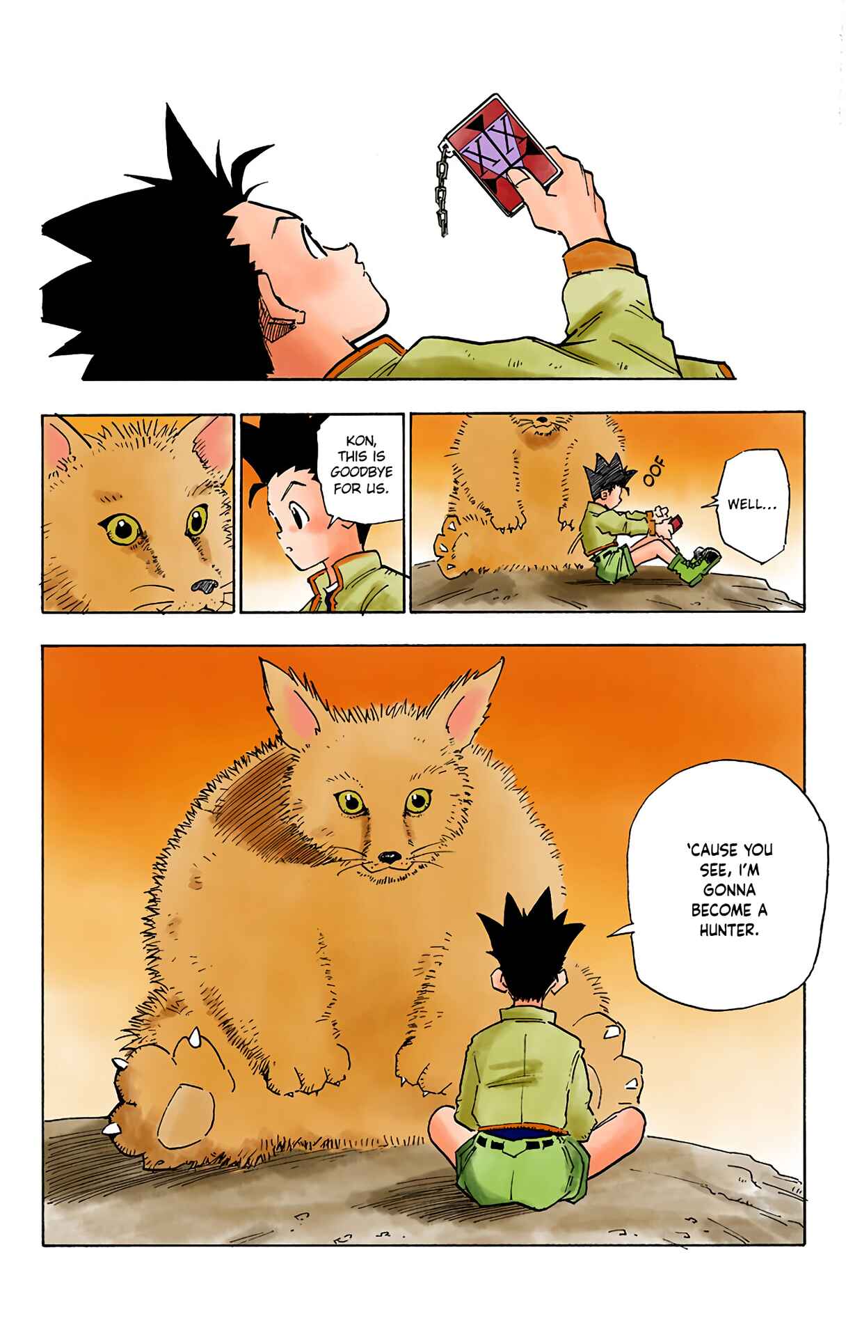Hunter x Hunter (Official Colored) Chapter 1 - Page 25
