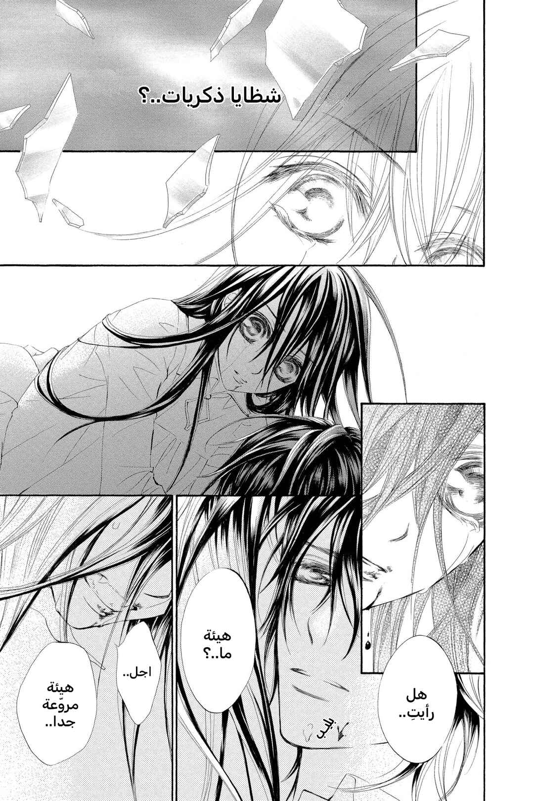 Vampire Knight Chapter 36 - Page 20