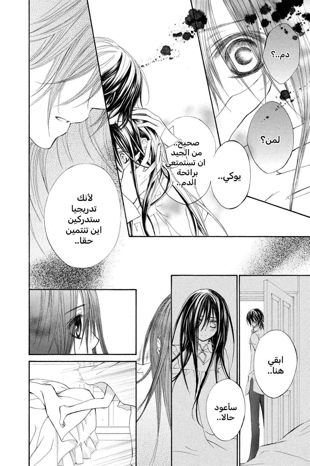 Vampire Knight Chapter 36 - Page 27