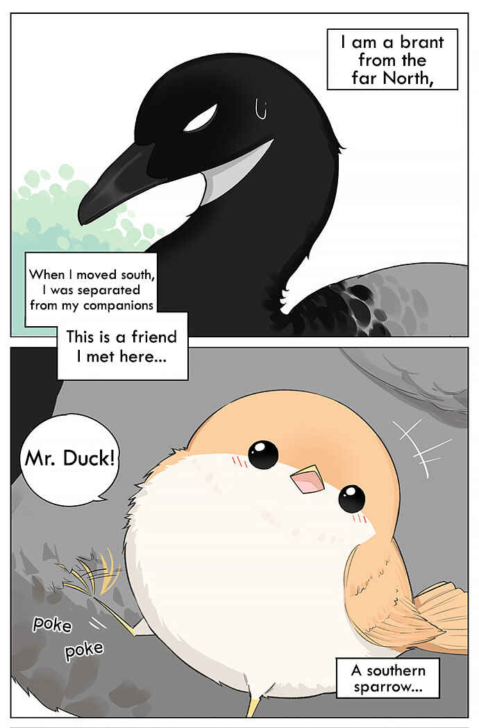 Southern Bird and Northern Bird Chapter 15 - Page 1