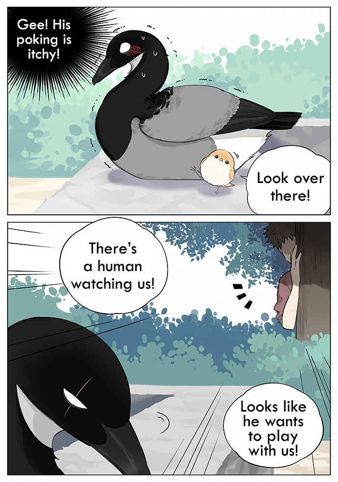 Southern Bird and Northern Bird Chapter 15 - Page 2