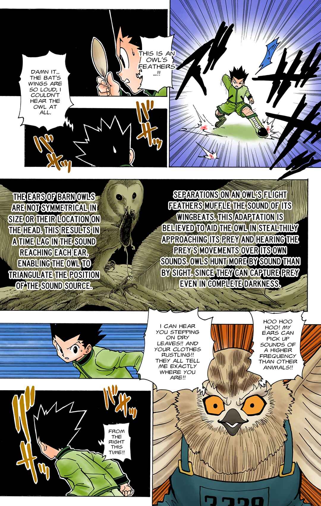 Hunter x Hunter (Official Colored) Chapter 232 - Page 3