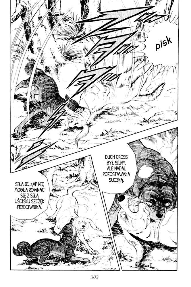Silver Fang – The Shooting Star Gin – Chapter 13 - Page 34