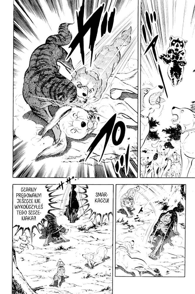 Silver Fang – The Shooting Star Gin – Chapter 13 - Page 39