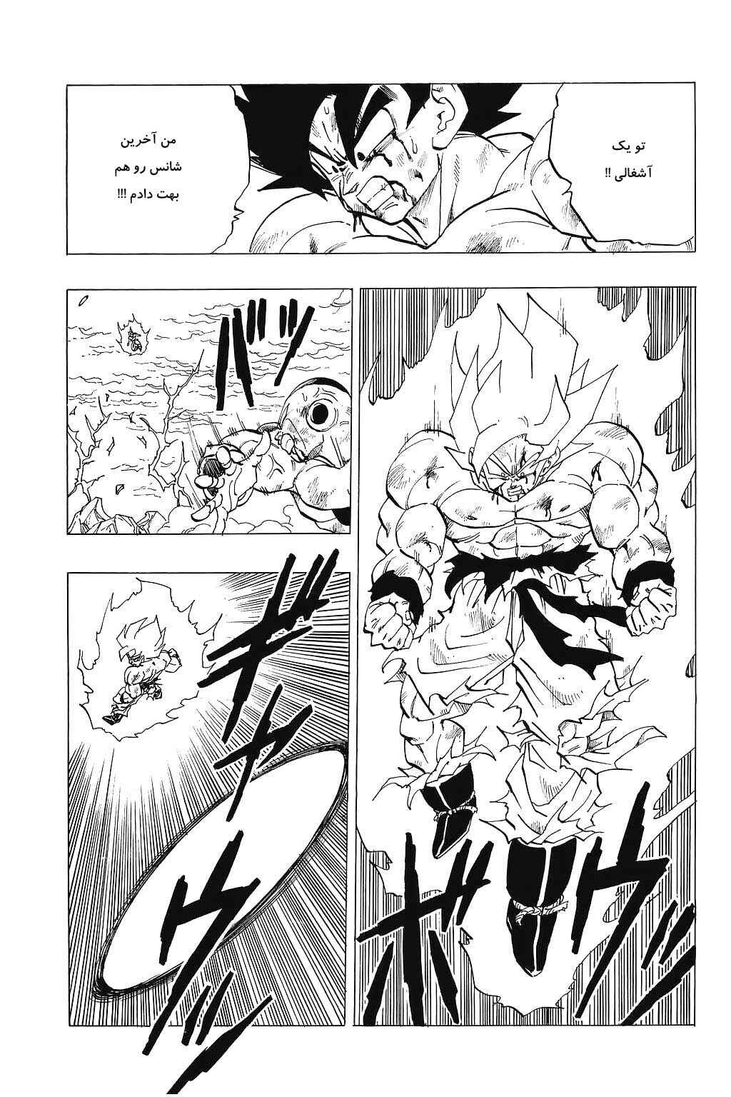 Dragon Ball Chapter 325 - Page 14