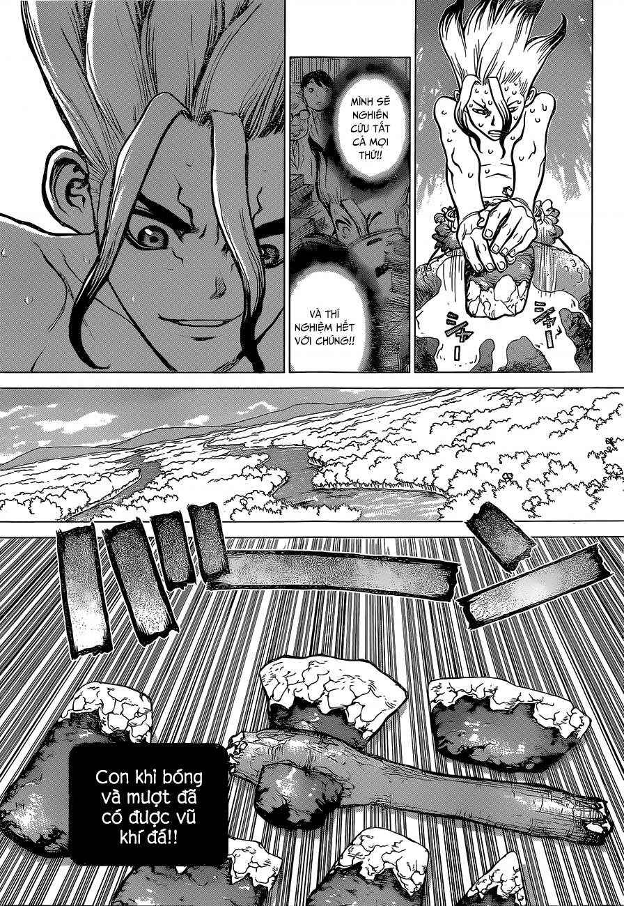 Dr.STONE Chapter 13 - Page 13