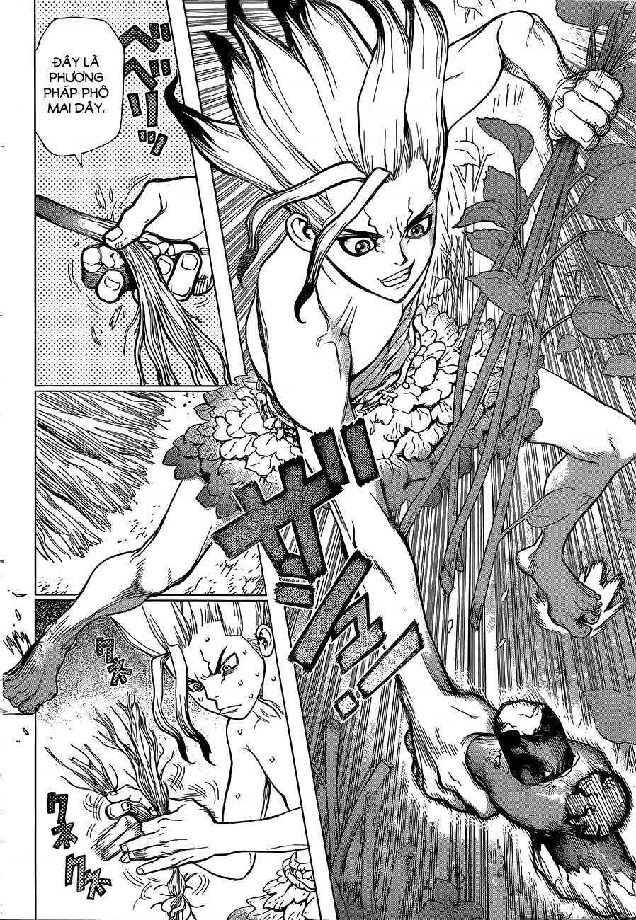 Dr.STONE Chapter 13 - Page 14