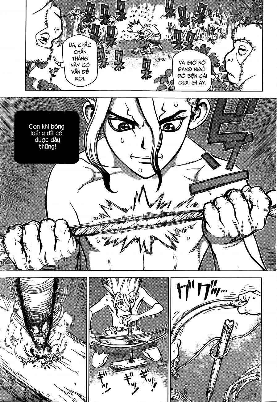 Dr.STONE Chapter 13 - Page 15