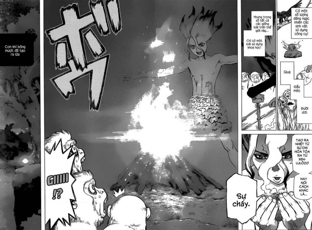 Dr.STONE Chapter 13 - Page 16