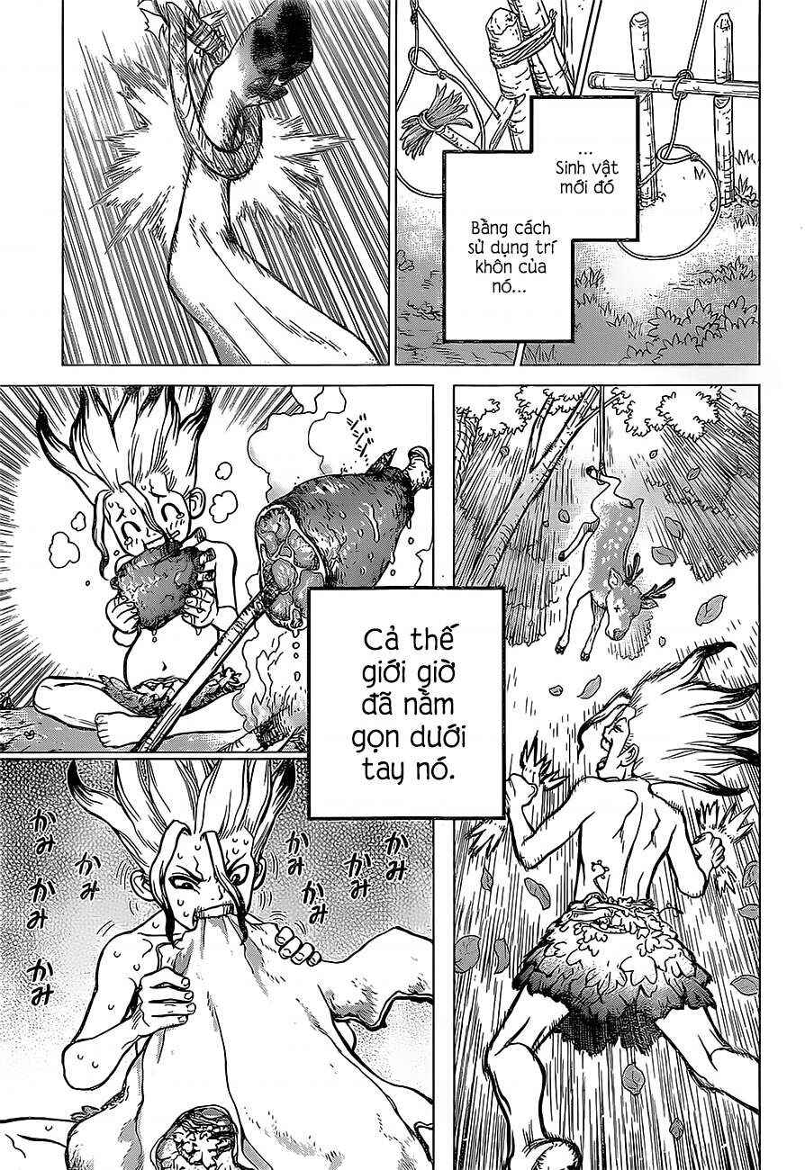 Dr.STONE Chapter 13 - Page 17