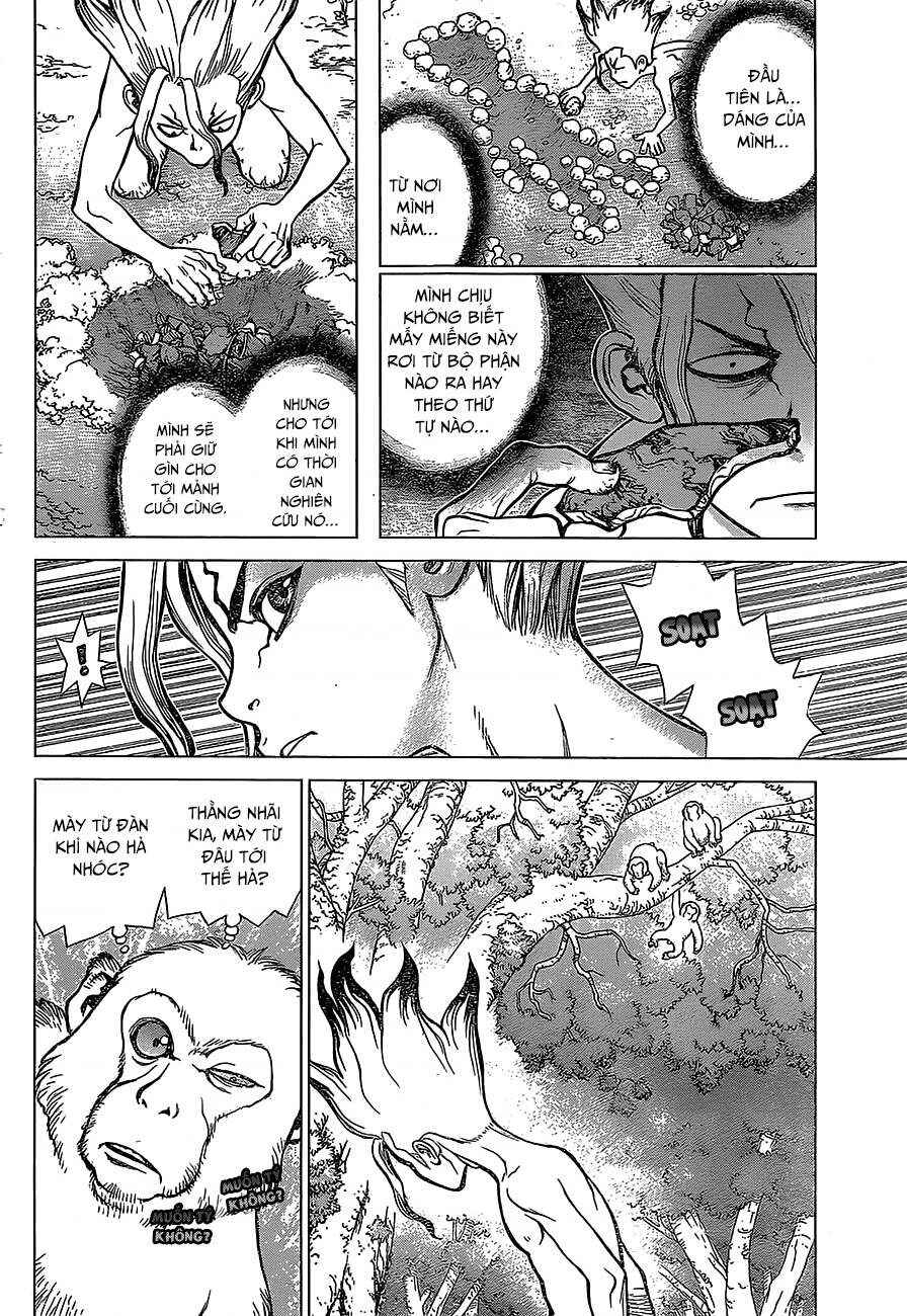 Dr.STONE Chapter 13 - Page 5