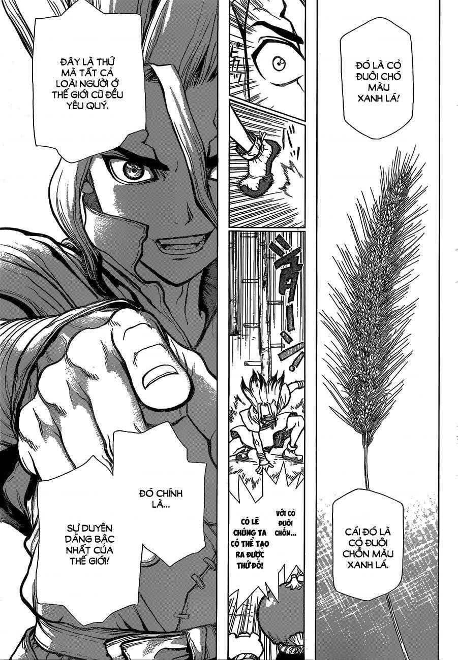 Dr.STONE Chapter 22 - Page 10