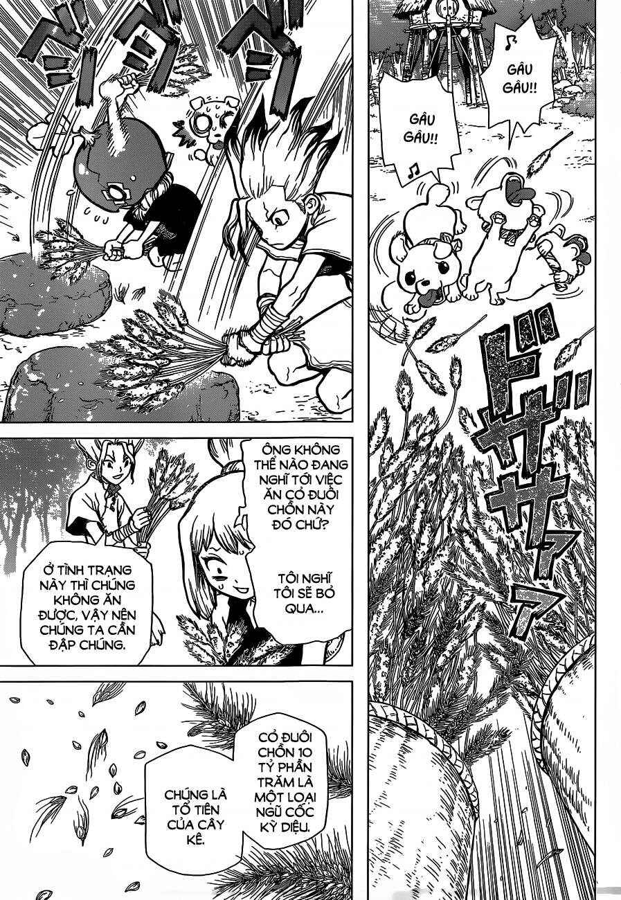 Dr.STONE Chapter 22 - Page 12