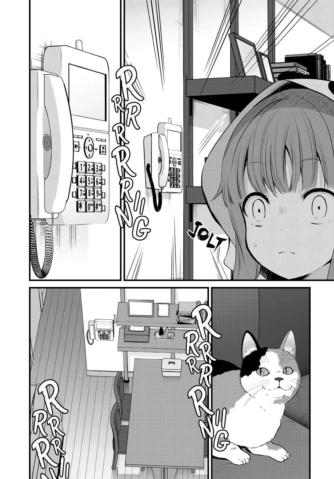 Rascal Does Not Dream of a Sister Home Alone Chapter 1 - Page 13