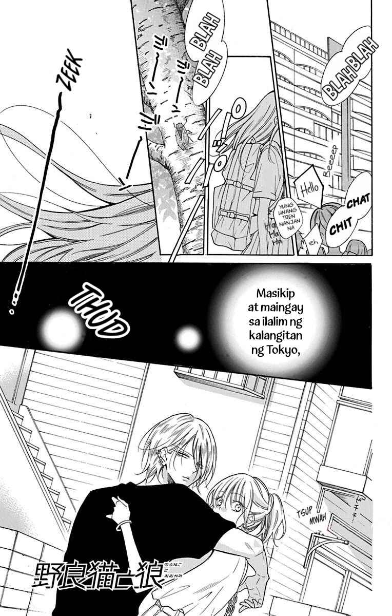 Noraneko to Ookami Chapter 1 - Page 3
