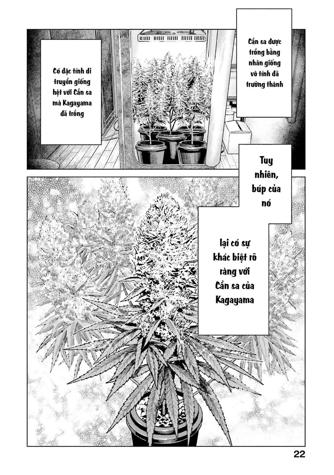 Toukyou Cannabis Tokku: Taimaou to Yobareta Otoko Chapter 8 - Page 22