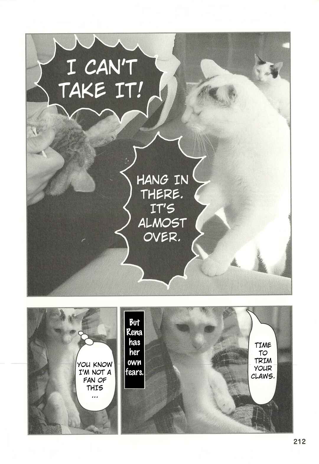 Sukeban Shachou Rena Chapter 52 - Page 9