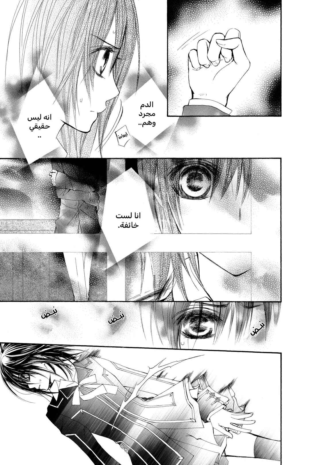 Vampire Knight Chapter 30 - Page 17