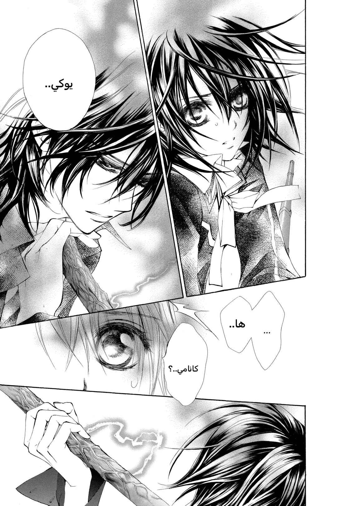 Vampire Knight Chapter 30 - Page 23