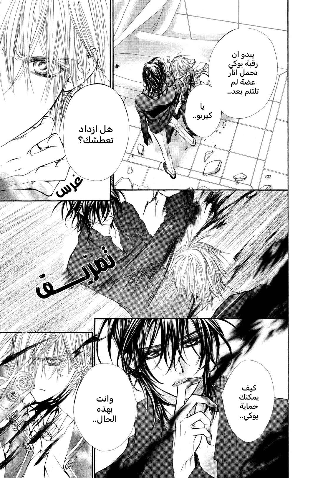 Vampire Knight Chapter 30 - Page 41