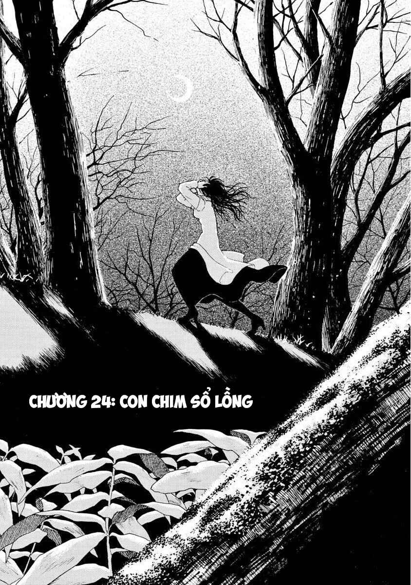 Bishu no Daichi Fukushu ~Fukushuu no tame ni Kao wo Suteta Onna~ Chapter 24 - Page 2